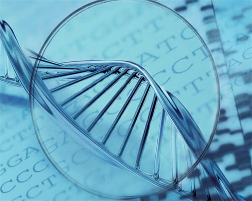 上海试管能供卵的&哪里做试管包男孩最好,高龄做上海试管婴儿好吗，分别是