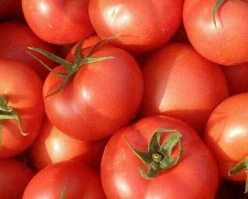 55万包生男孩_借卵生子包生男孩,孕期晚上为何会出现口渴和口干尿频的情况？