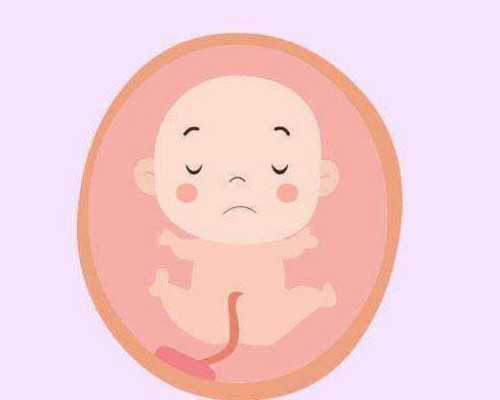 添悦助孕包生男孩_包成功代生中介,吃啥容易怀孕（怀孕初期怕冷）