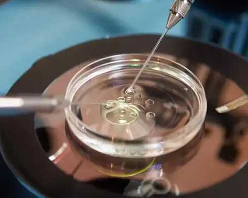 鲜胚移植后着床时间，到时间鲜胚自然会着床！