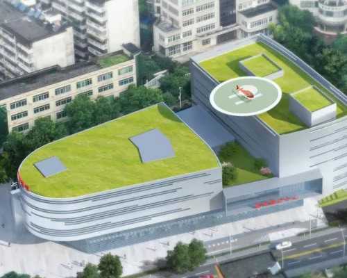 国内怎么供卵_做代孕哪个医院好,正常精子百分比多少正常？