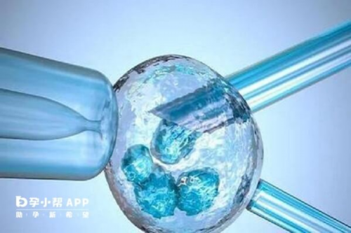 代孕中心哪家最好_国内选性别试管,宝宝吃左边母乳右边流是什么原因