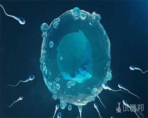 靠谱试管供卵代孕,试管生宝宝整体费用明细表,附详细过程