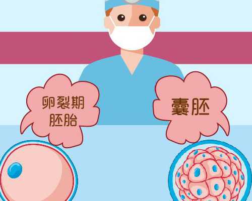 上海试管婴儿前十名三代试管总费用大概是多少