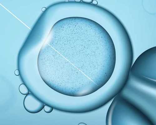 代孕哪里可以,生化妊娠是女方问题吗「染色体」