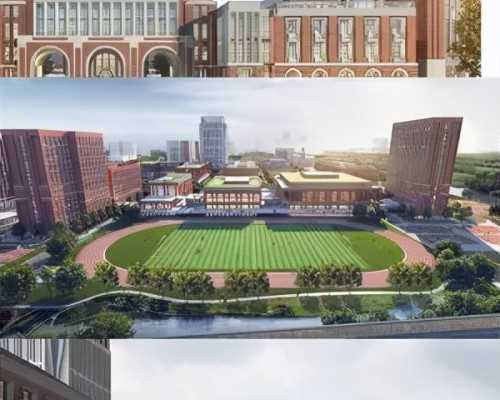 供卵代生选儿子,先天性幼稚子宫试管婴儿吗 先天性幼稚子宫试管婴儿吗能活多