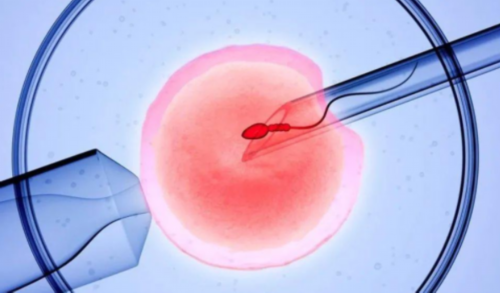 上海第一妇婴保健院试管婴儿成功率有多高