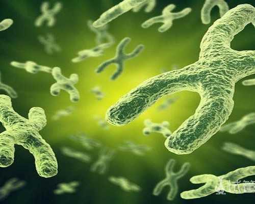 专业代怀包男孩_包性别,军嫂孕期工作单位待遇标准公布，附最新收费！