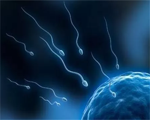 上海第三代试管生男孩价格是多少？费用十万够吗？