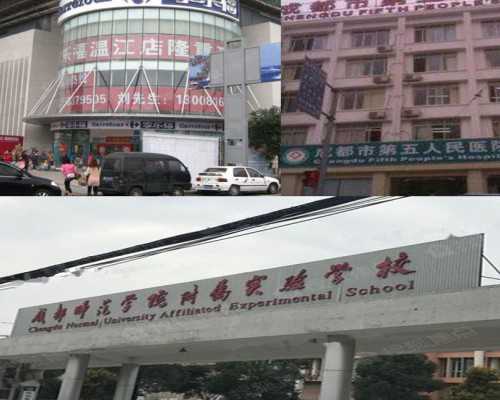 <b>2026上海试管三代助孕能选生孩子的机构费用多少钱？</b>