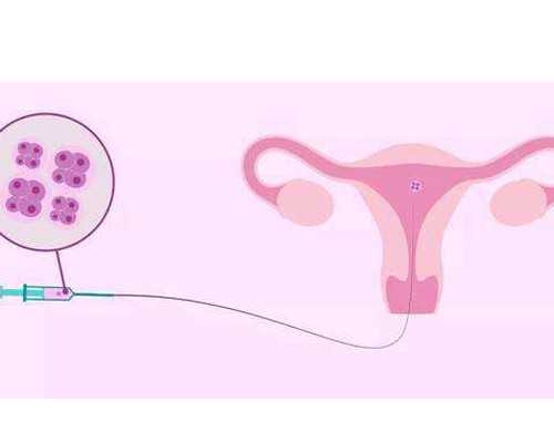 
              2026上海新华医院做一次供精人工授精大概需要多少钱？
            