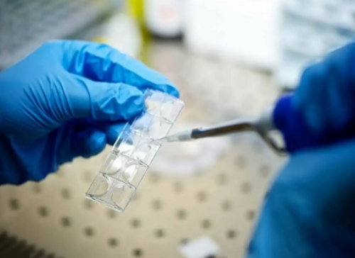 
              上海瑞金医院三代试管婴儿囊胚移植成功率高吗？
            