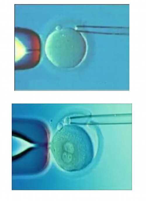 代生子包男孩服务_助孕公司包成功,试管婴儿移植怀孕14天，还能吃巧克力饼干