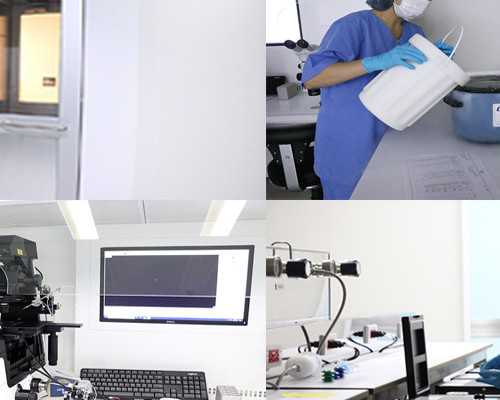 36岁内蒙试管供卵成功率高不高呀怎么办