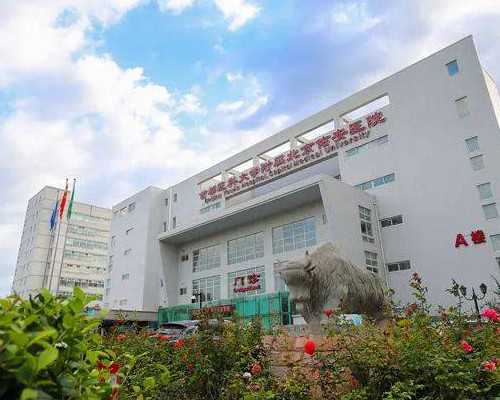 <b>国内失独助孕,代孕妈妈生下来的孩子,试管之前都检查什么 试管之前都做什么检</b>