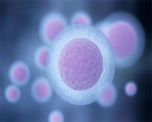 <strong>子宫肌瘤治疗的手术风险子宫肌瘤的术后保养-子宫肌瘤39乘以33算大吗</strong>