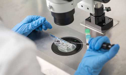 胚胎移植过程痛吗(移植胚胎过程疼吗)