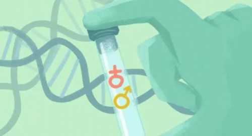 上海三代试管婴儿三代成功率高的医院排行榜公布，哪家医院好！