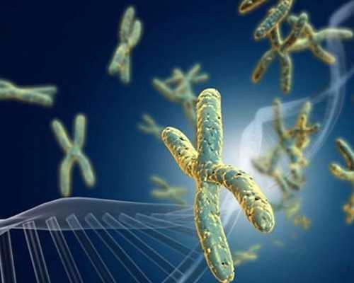 正规代孕公司排名,移植*后多久有胎心？试管移植60天才有胎心？