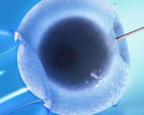 上海三代试管婴儿代、第三代价格表，要怎么挂号呢？