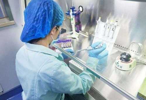 代妈福州助孕+最好的代孕产子机构,囊胚培养成功一般都知道性别?