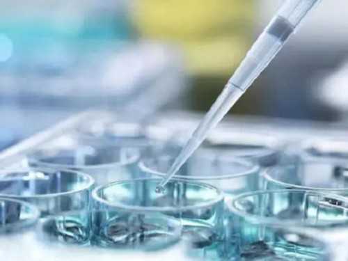 上海包生男孩不成功不收费是真的吗？