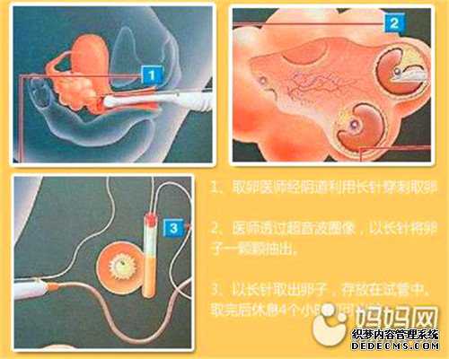 民间供卵机构-助孕的服务态度-女性生理周期及性激素的分泌规律