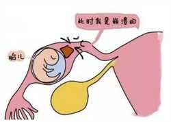 上海代怀包男孩包成功，女生痛经严重怎么护理