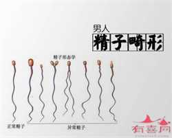 上海正规助孕包性别，胎儿心率不齐是什么原因