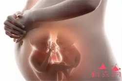 上海借卵试管的案例，为什么做美国试管婴儿移植前要憋尿？真相来了
