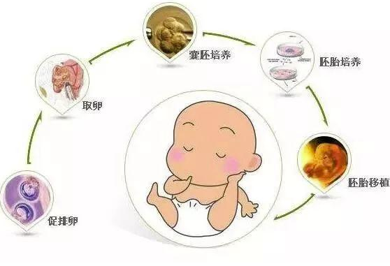 上海第三代试管费用多少钱,上海第三代试管婴儿要多少钱？具体费用怎么划分