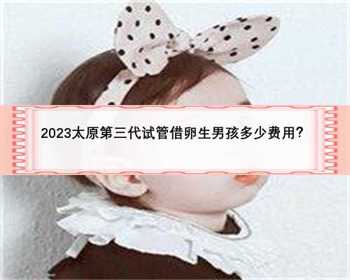 2023太原第三代试管借卵生男孩多少费用？
