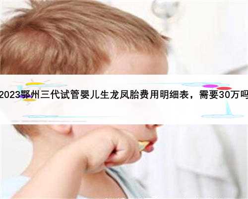 2023鄂州三代试管婴儿生龙凤胎费用明细表，需要30万吗