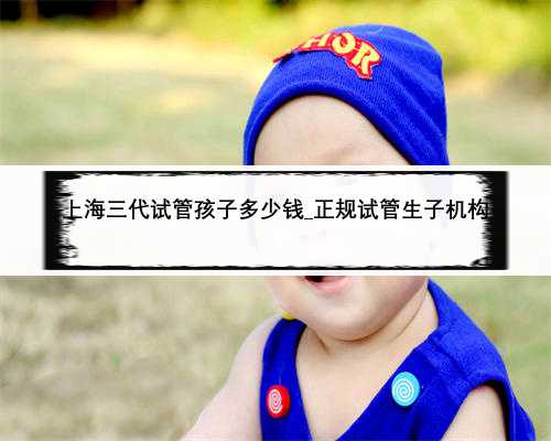 上海三代试管孩子多少钱_正规试管生子机构