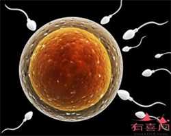 上海供卵医院公立，上海供卵助孕公司（上海中泰助孕地址）